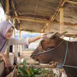 ILUSTRASI. Pahami Ketentuan dan Syarat Patungan Sapi untuk Kurban Idul Adha (Ftoto: Freepik)