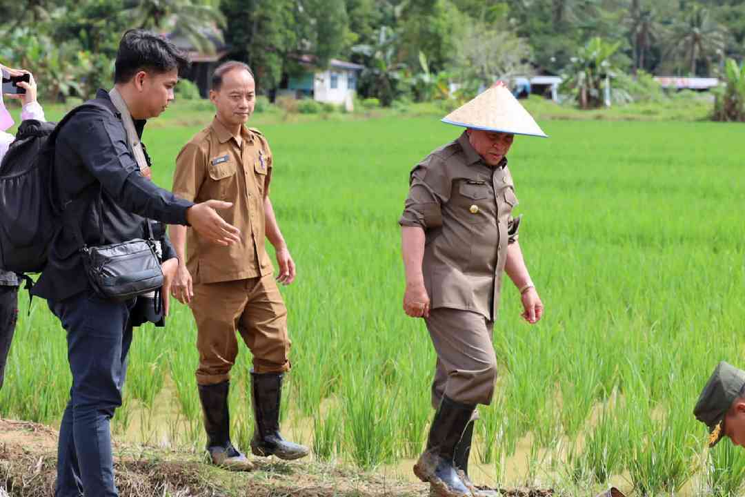 Gubernur Isran saat meresmikan program Gerakan Tanam Padi Seribu Hektare di Bukit Biru, Tenggarong.