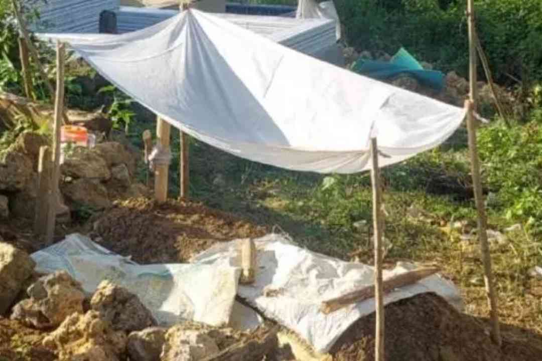 Bocah berusia 9 tahun di Kabupaten Muna, Sulawesi Tenggara (Sultra), tewas dimangsa ular piton sepanjang delapan meter.
