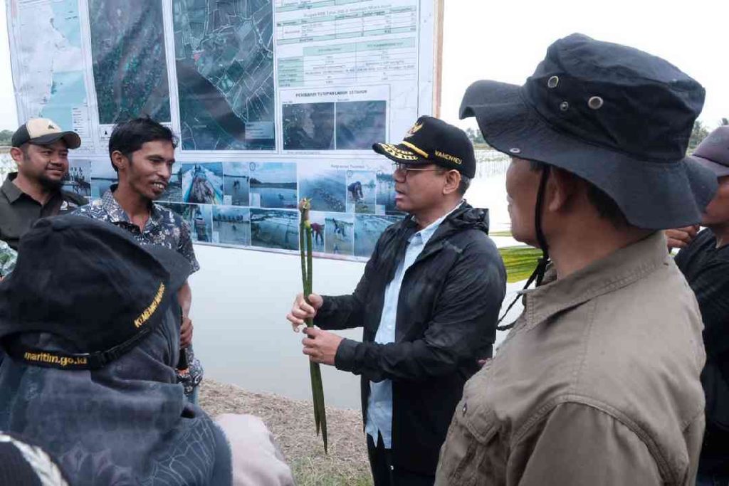 Wakil Kementerian Keuangan, Suahasil Nazara saat tinjau pelaksanaan rehabilitasi mangrove di Muara Badak