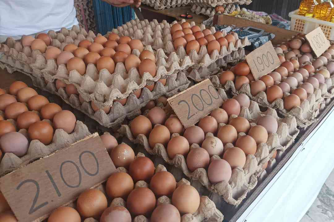 Agen Penjual Telur di Pasar Harapan Baru. Senin (17/07/2023).