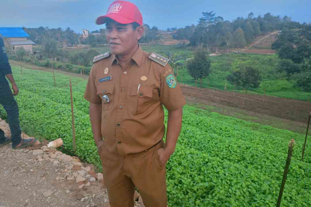 Camat Loa Kulu Ardiansyah saat hadiri penyerahan bantuan untuk Pokdarwis Dewi Arum