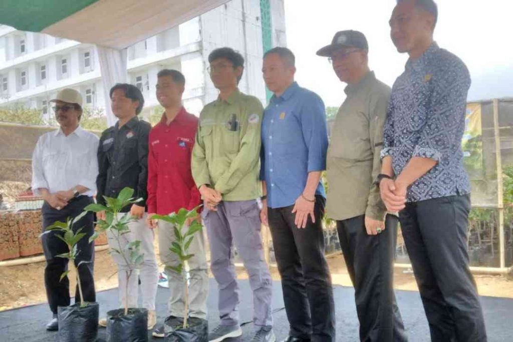 Penyerahan bibit secara simbolis