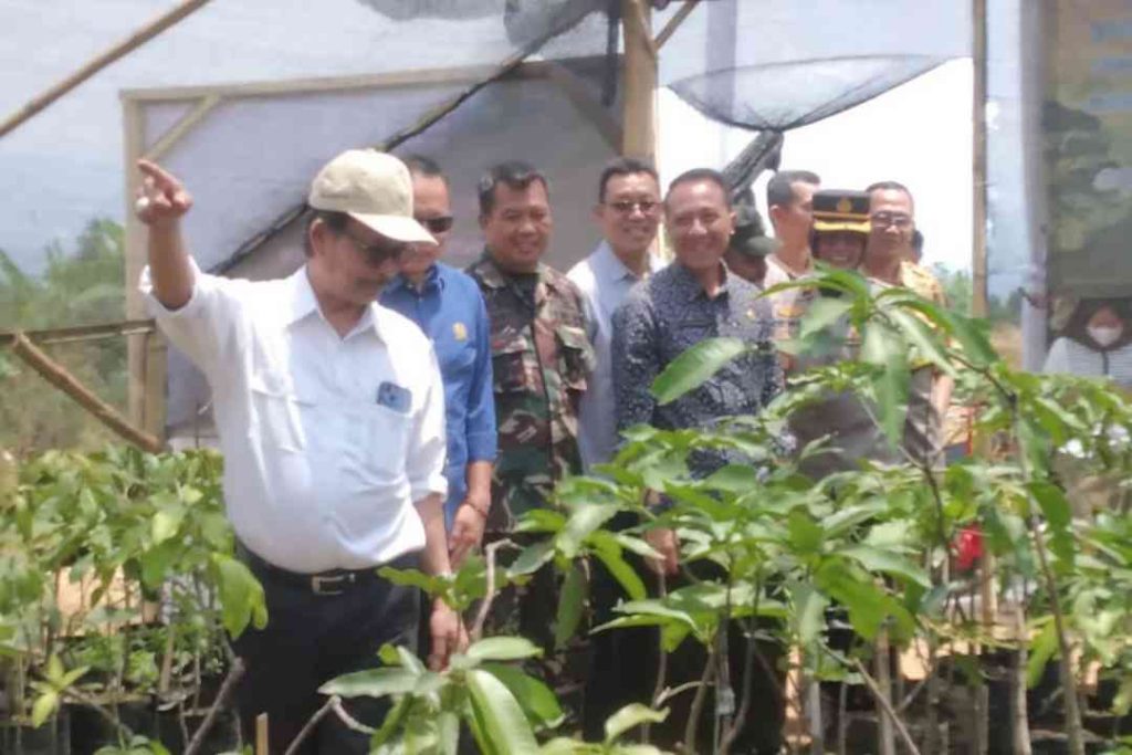 Rektor UIN Maliki saat meninjau pembibitan di Workshop Ekologi.