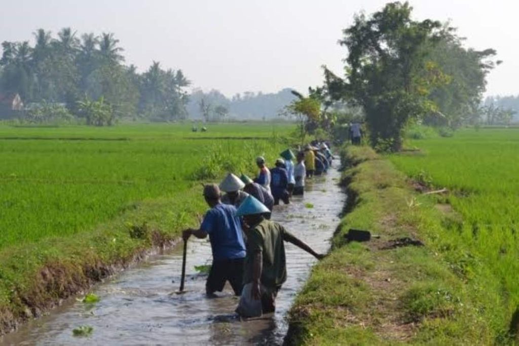 Membersihkan irigasi secara gotong royong seharusnya di budayakan di Kalimantan Timur.