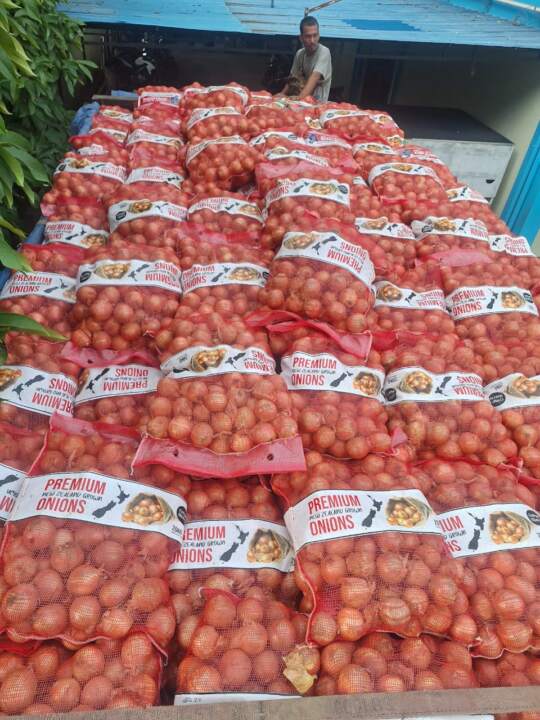 Barang bukti sebanyak 21 ton bawang bombai yang diduga kuat ilegal, diamankan ke kantor DJBC Kalbagbar, Jalan Pak Kasih, Pontianak, Kalbar, Sabtu (28/6/2025) lalu. (Humas DJBC Kalbagbar)