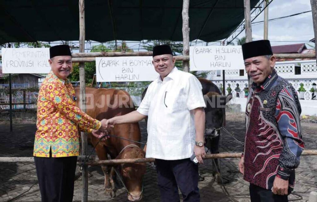 Panitia hewan korban menerima hewan kurban dari Anggota DPR RI, H. Boyman Harun. (Foto: Agus - Jurnalborneo)