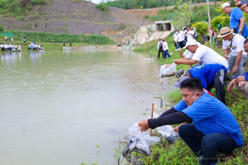 Penebaran 1 ton benih ikan lele di Embung MBH IKN (Humas OIKN)