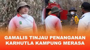 Gamalis Tinjau Penanganan Karhutla Kampung Merasa, Warga Diminta Waspada